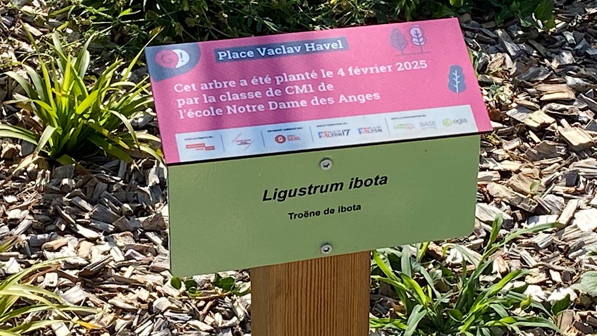 place jardin