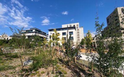 Lyon invente le concept de place jardin à Gerland