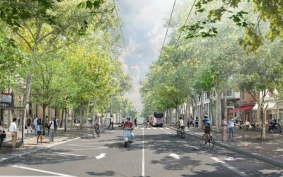 Boulevard de la Croix-Rousse : entre tradition et nouveaux usages