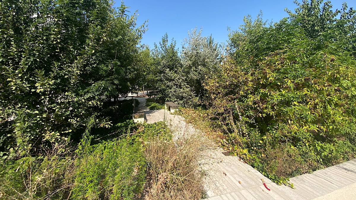 bancs