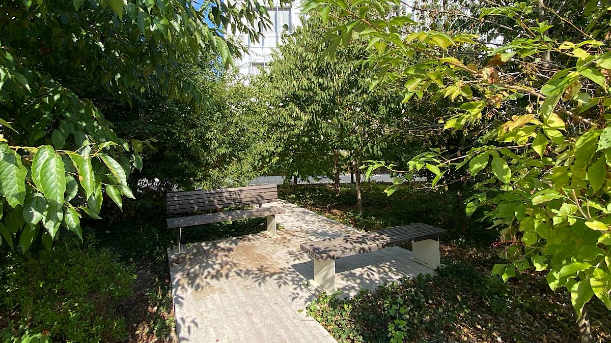 lieux ombragés