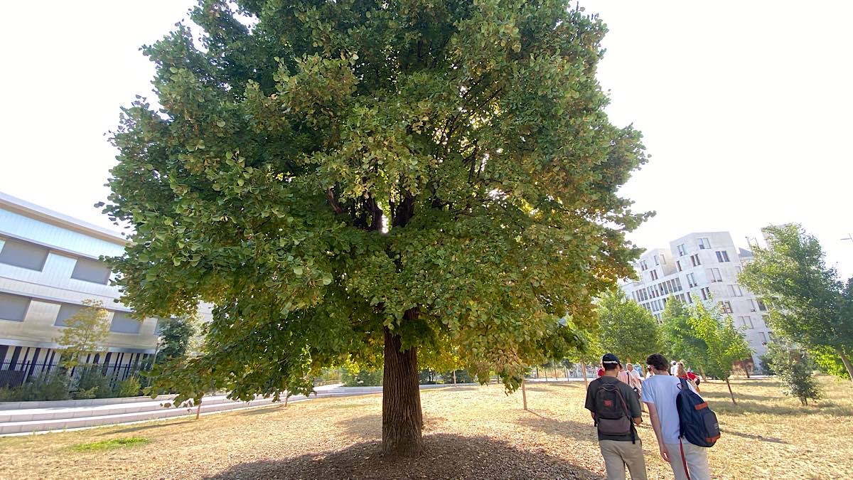 Jardins Pré Gaudry