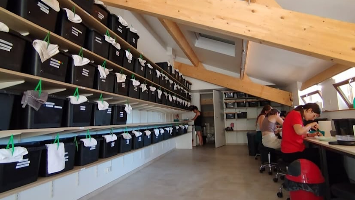 centre de soins