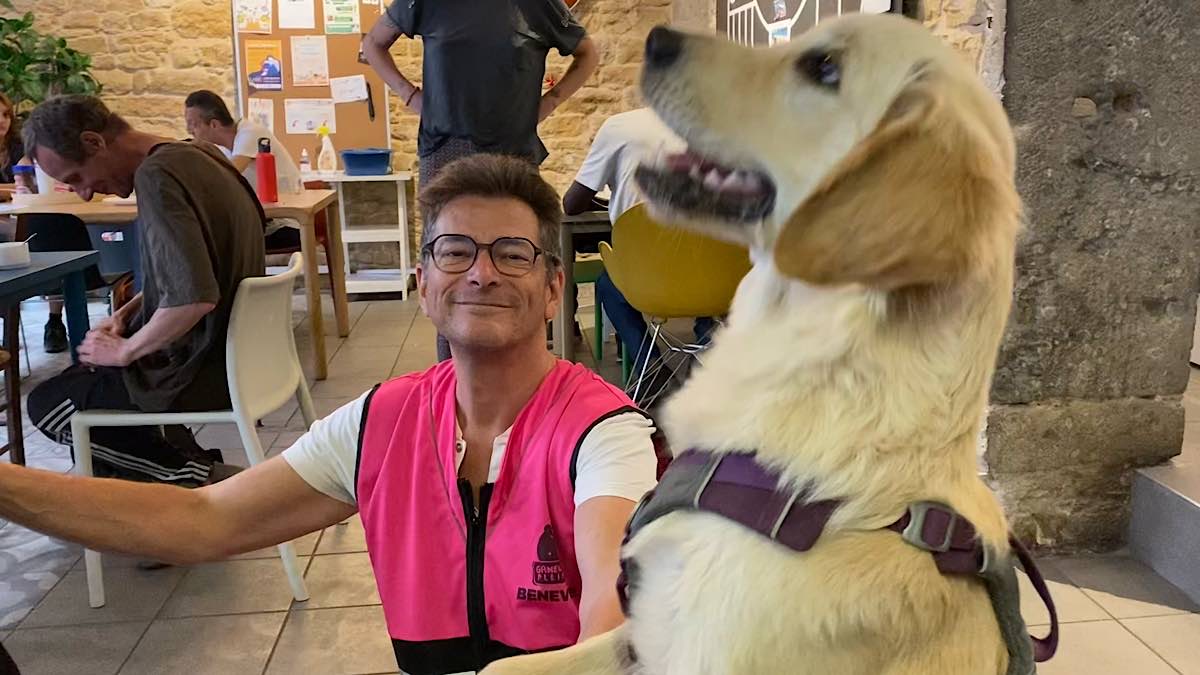 nourriture pour chiens sans-abri