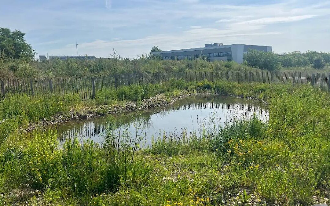 La piste d’essai de Renault-Trucks transformée en espace nature