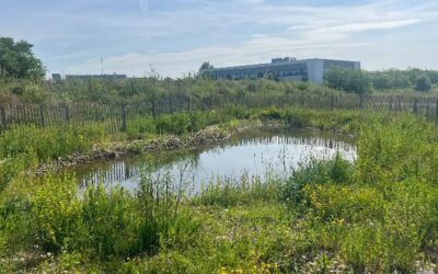 La piste d’essai de Renault-Trucks transformée en espace nature