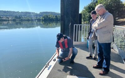 Piscine naturelle : des analyses de l’eau à Albigny