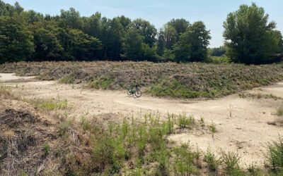 Terres Fertiles : la seconde vie des gravats pour reverdir la ville