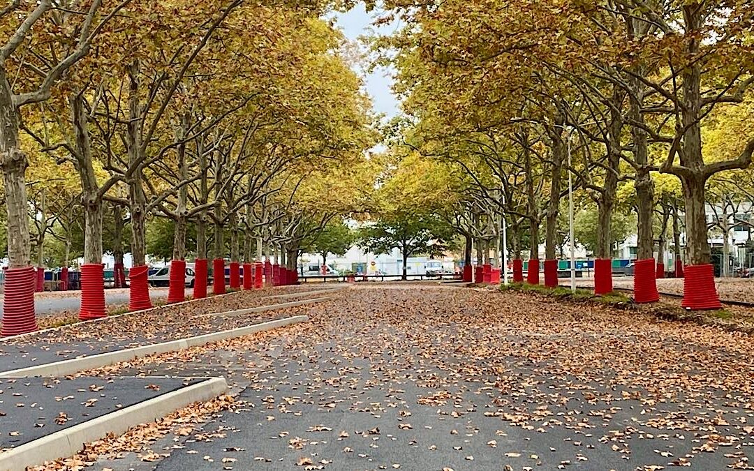 A Lyon, la gare routière quitte Perrache pour Gerland