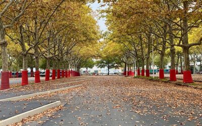 A Lyon, la gare routière quitte Perrache pour Gerland