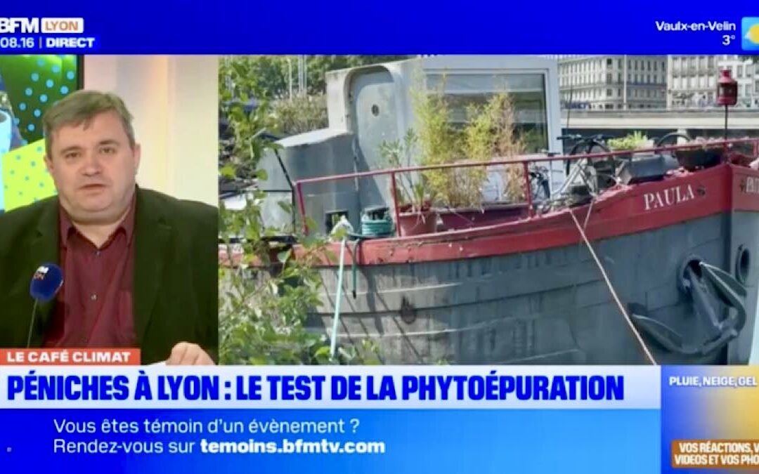 Phytoépuration : un test sur deux péniches à Lyon
