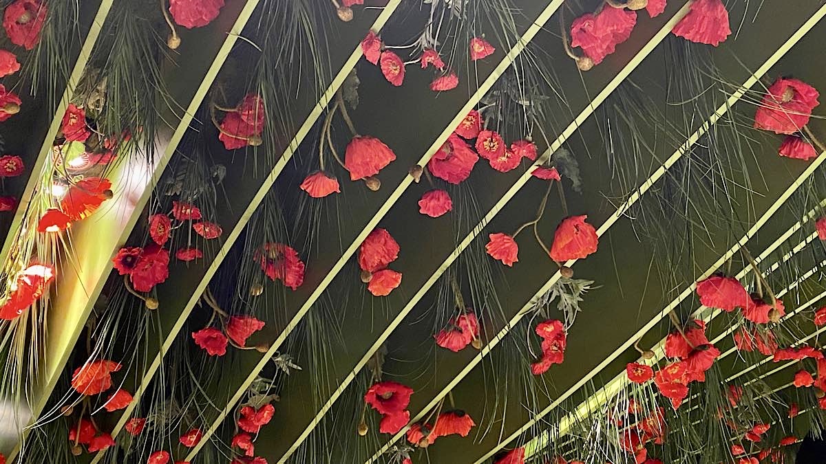 des coquelicots jusqu'au plafond