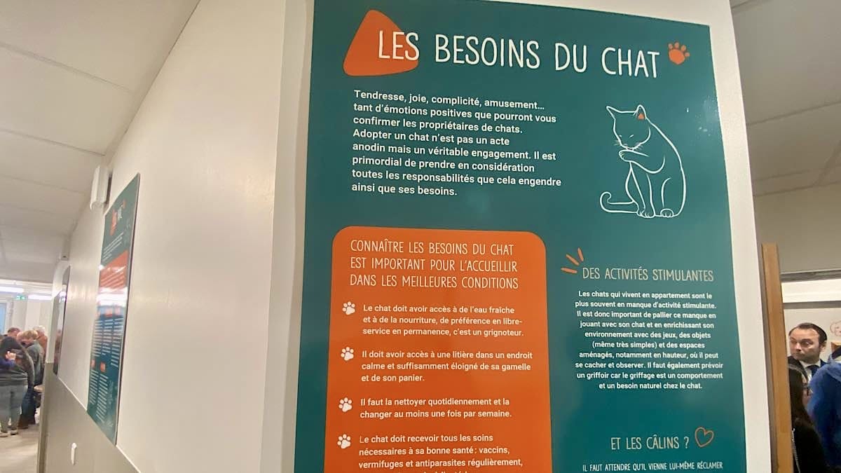 conseils vétérinaires