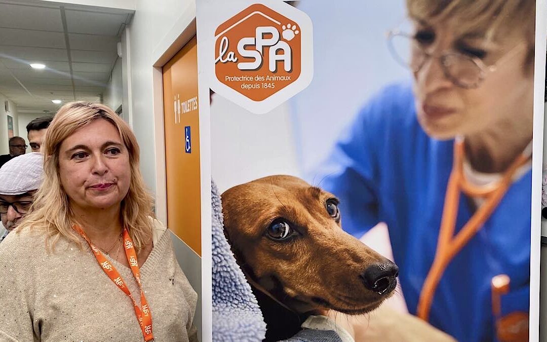Dispensaire SPA à la Part-Dieu : « Leur animal, c’est toute leur vie »