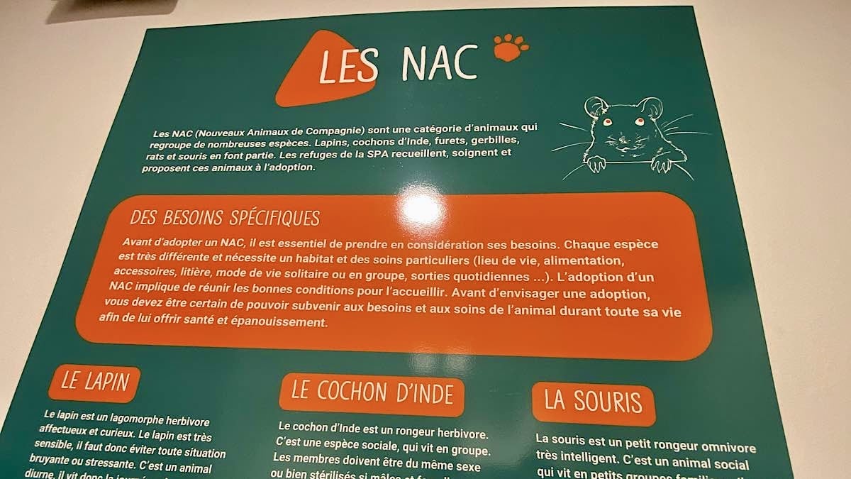 les Nacs