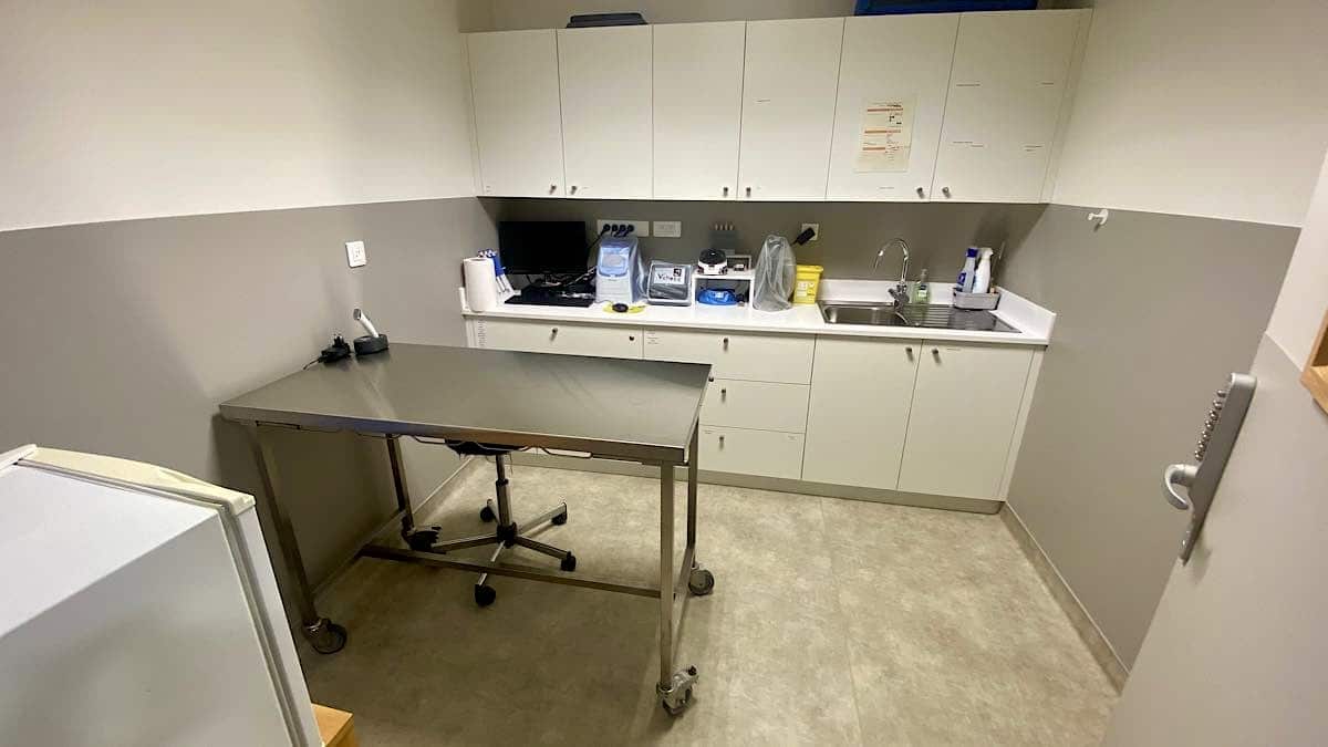 SPA soins pour animaux