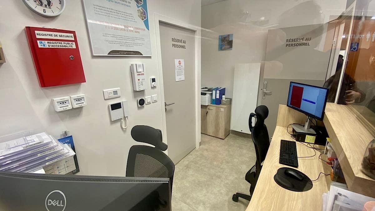 soins vétérinaires