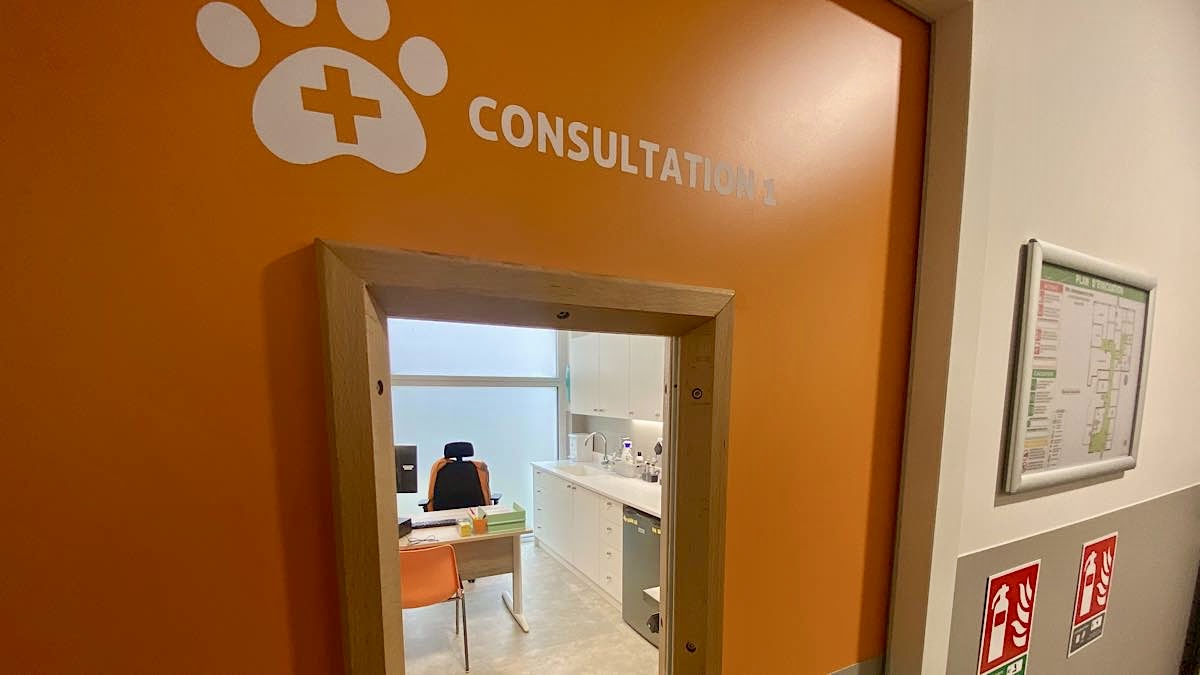 vétérinaires pour public en difficultés