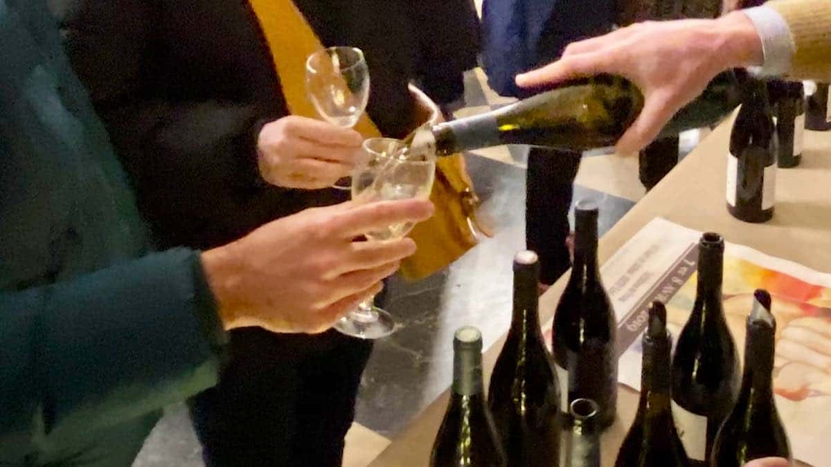 dégustation de vins