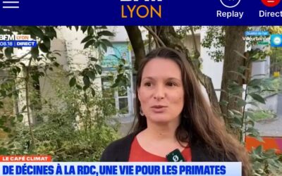 P-WAC accueille 38 singes issus du braconnage et lance un appel