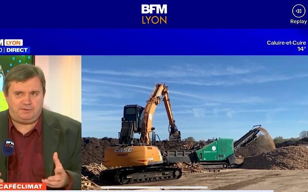 Que deviennent les tonnes de feuilles mortes ramassées à Lyon ?