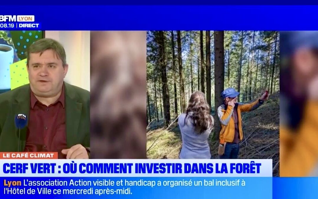 Cerf Vert : investir dans la forêt pour la préserver…