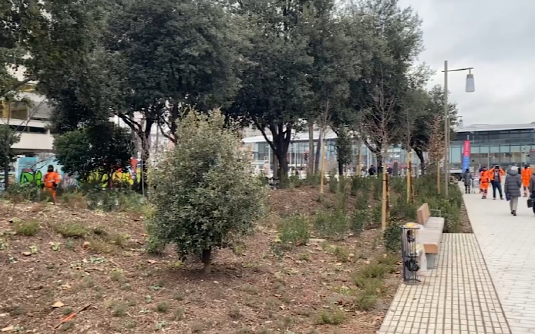 Bois de la Part-Dieu : la luxuriance végétale face au changement climatique