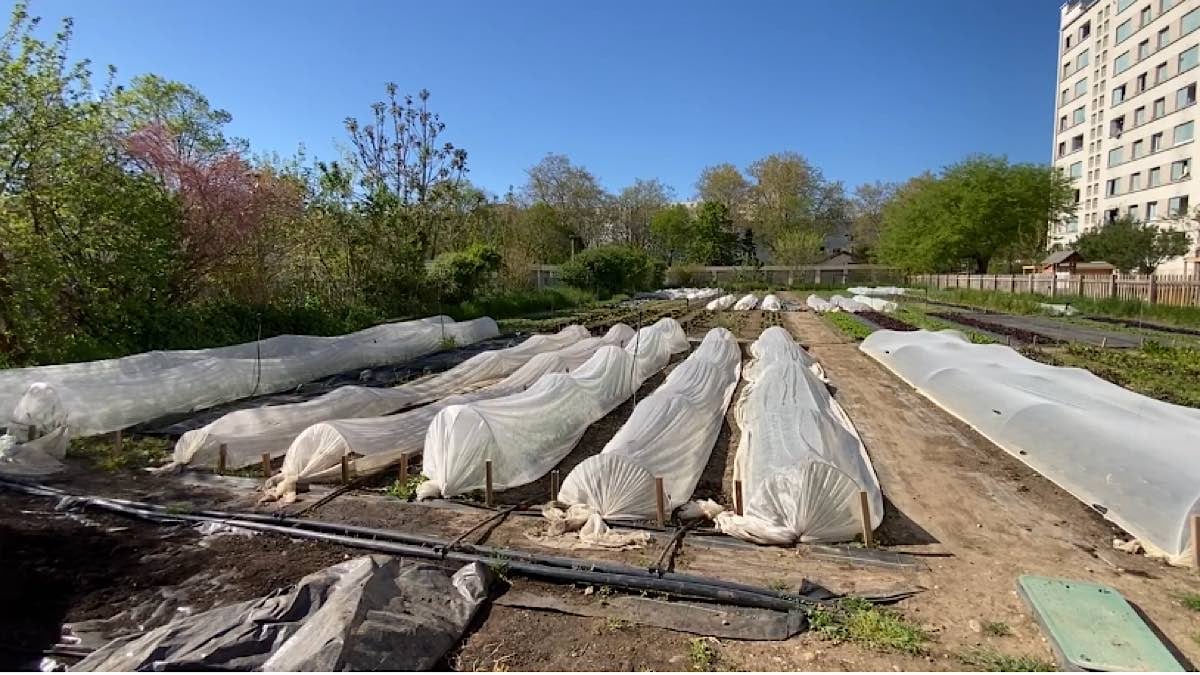 micro-fermes