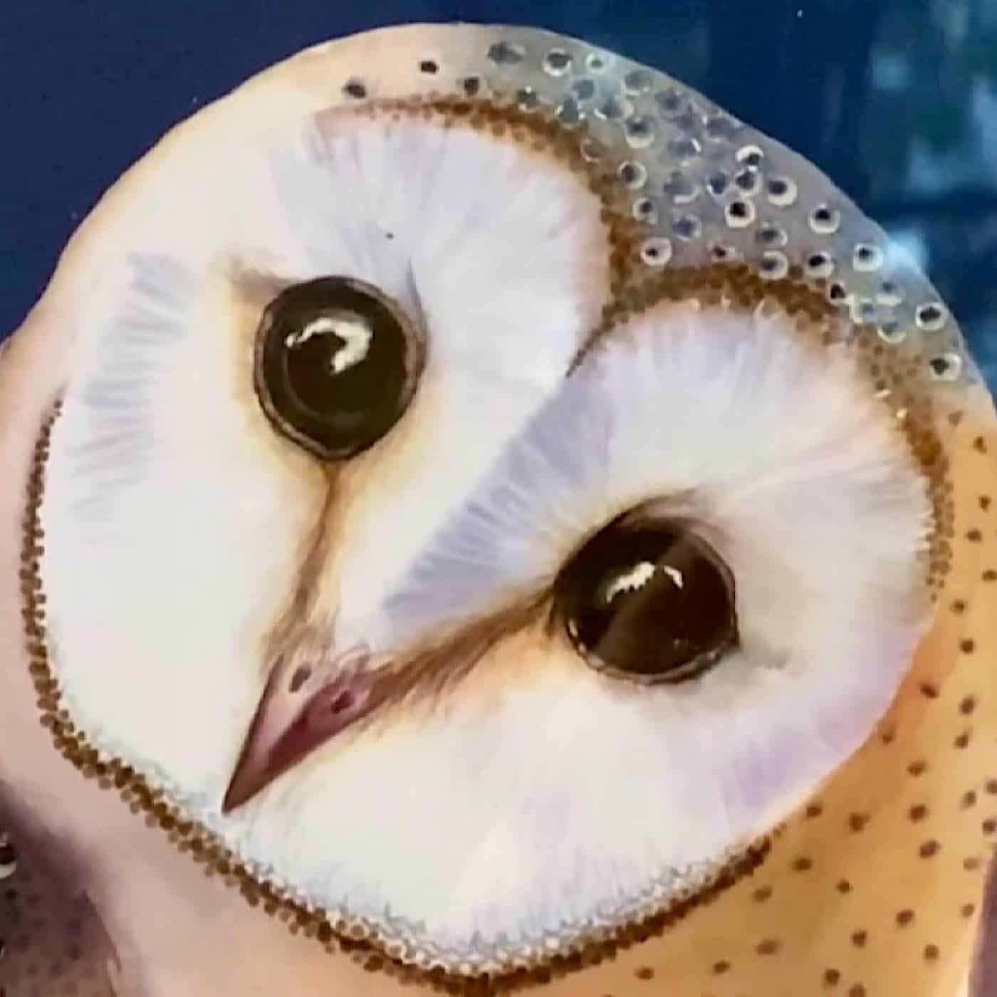 Les oiseaux en ville : une biodiversité en grand danger à Lyon episode artwork