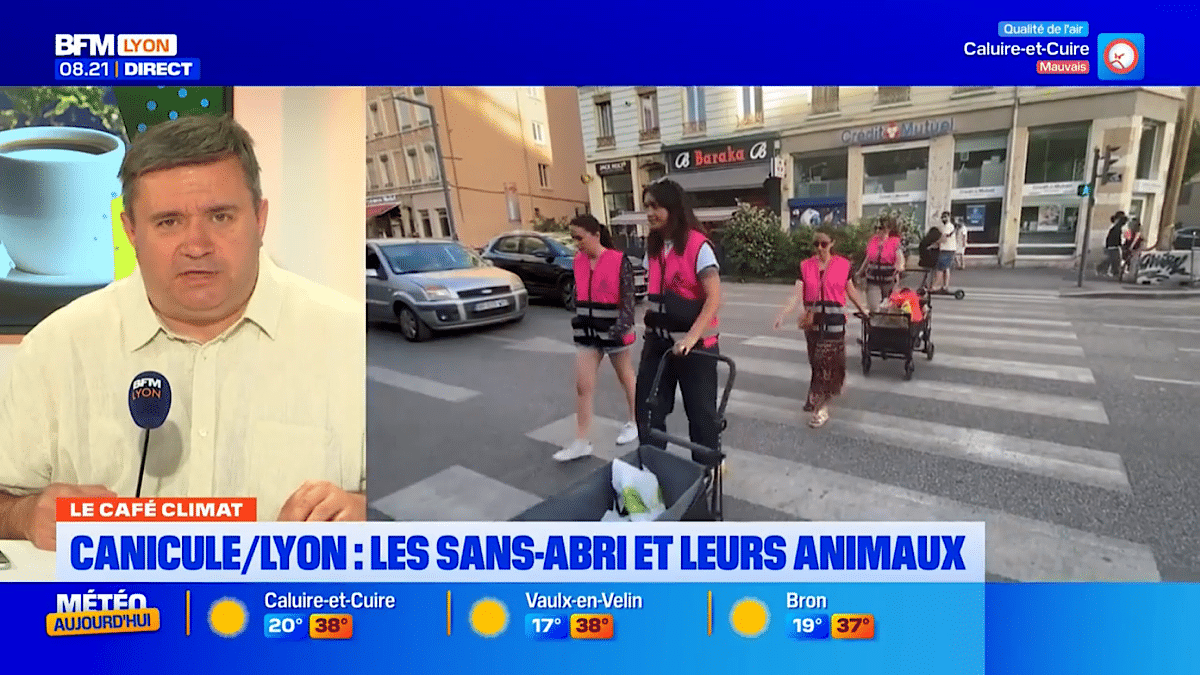 animaux des sans-abri