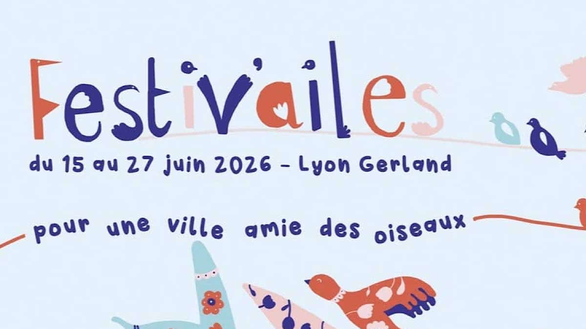 festival Festiv'Ailes