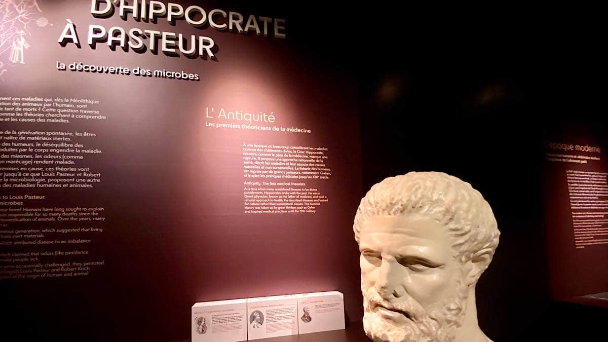 Hippocrate père de la médecine