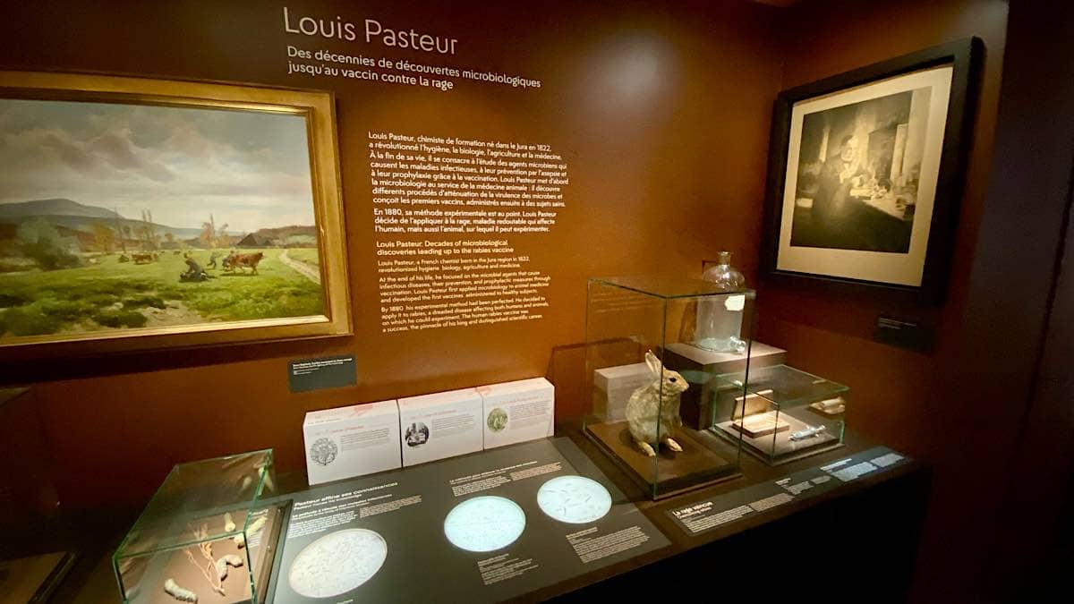 Louis Pasteur vaccin contre la rage