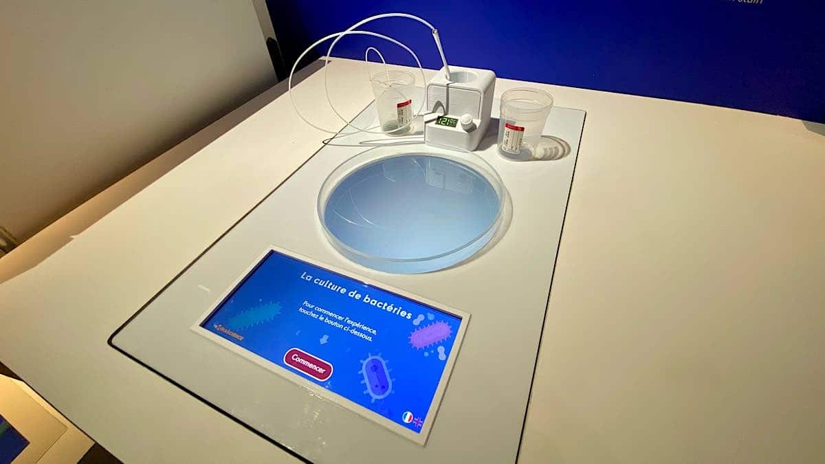 atelier interactif pour simuler la culture de bactéries en laboratoire
