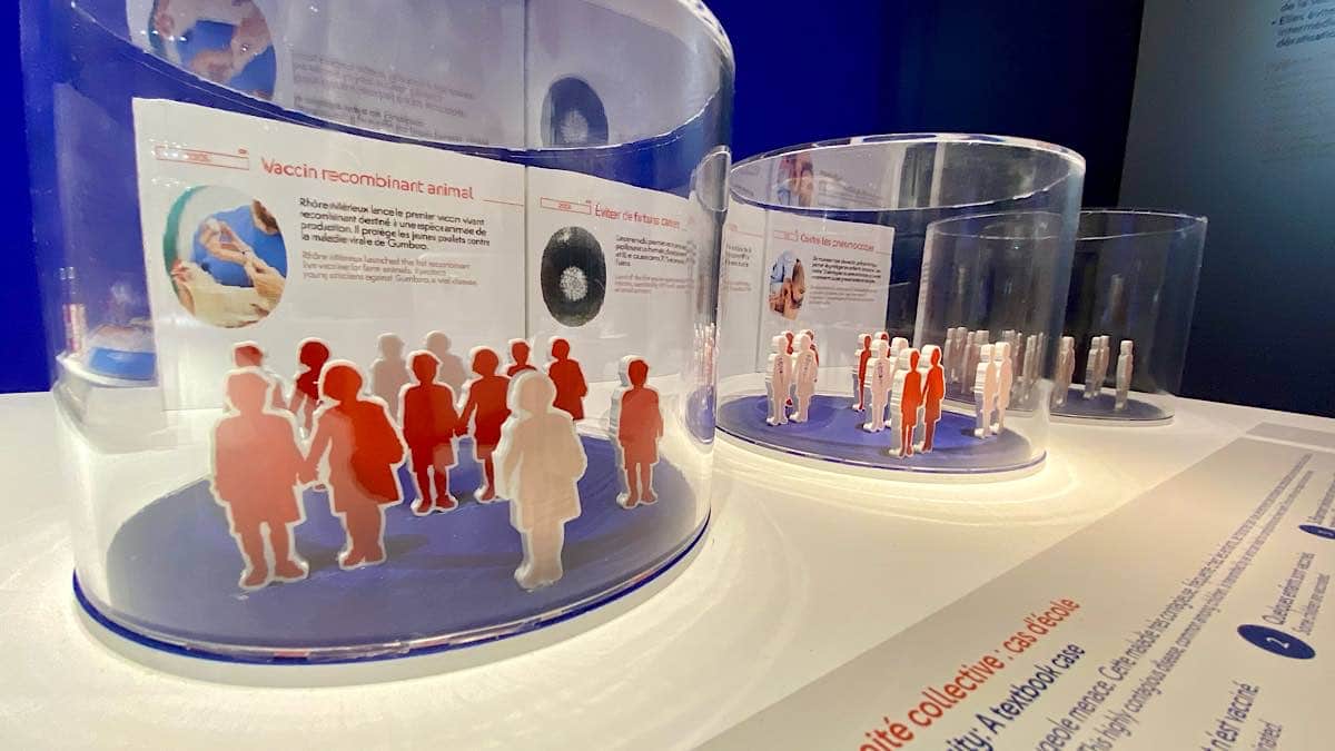différents scénarios de couverture vaccinale