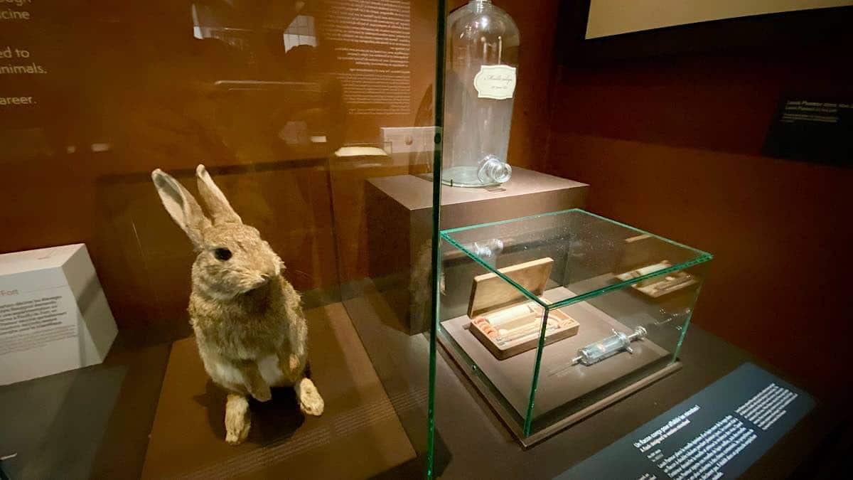 matériel utilisé par Louis Pasteur