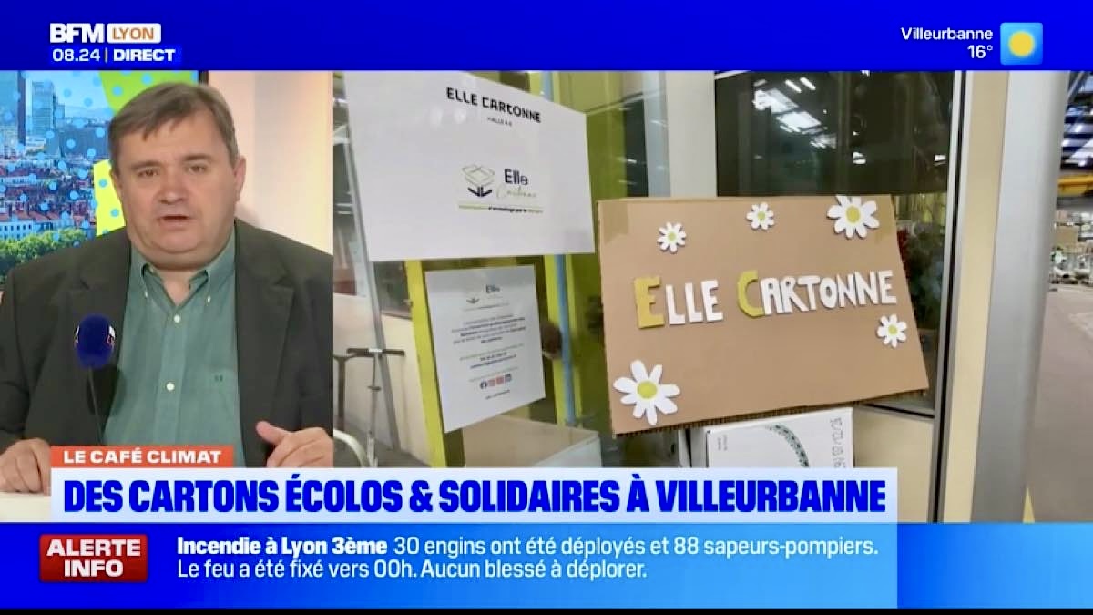 asso Elle Cartonne