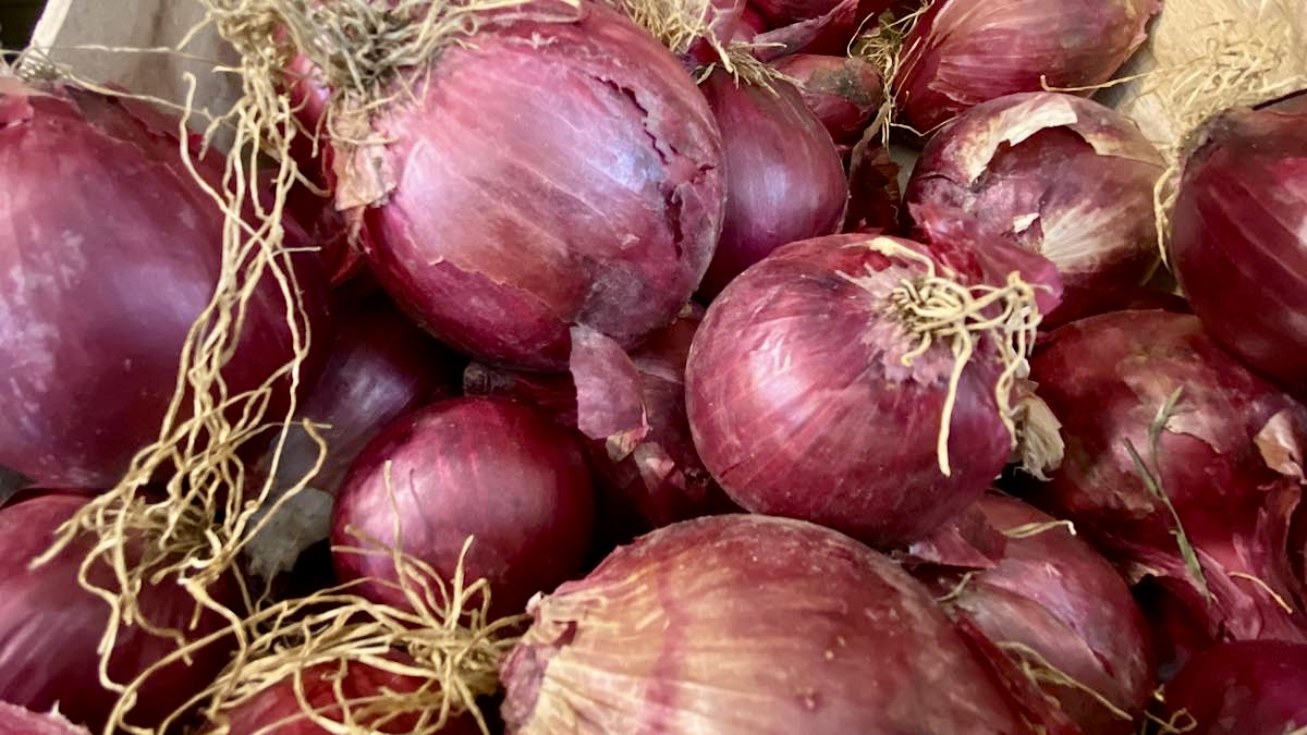 oignons rouges