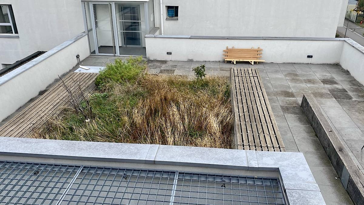 jardins partagés La soie