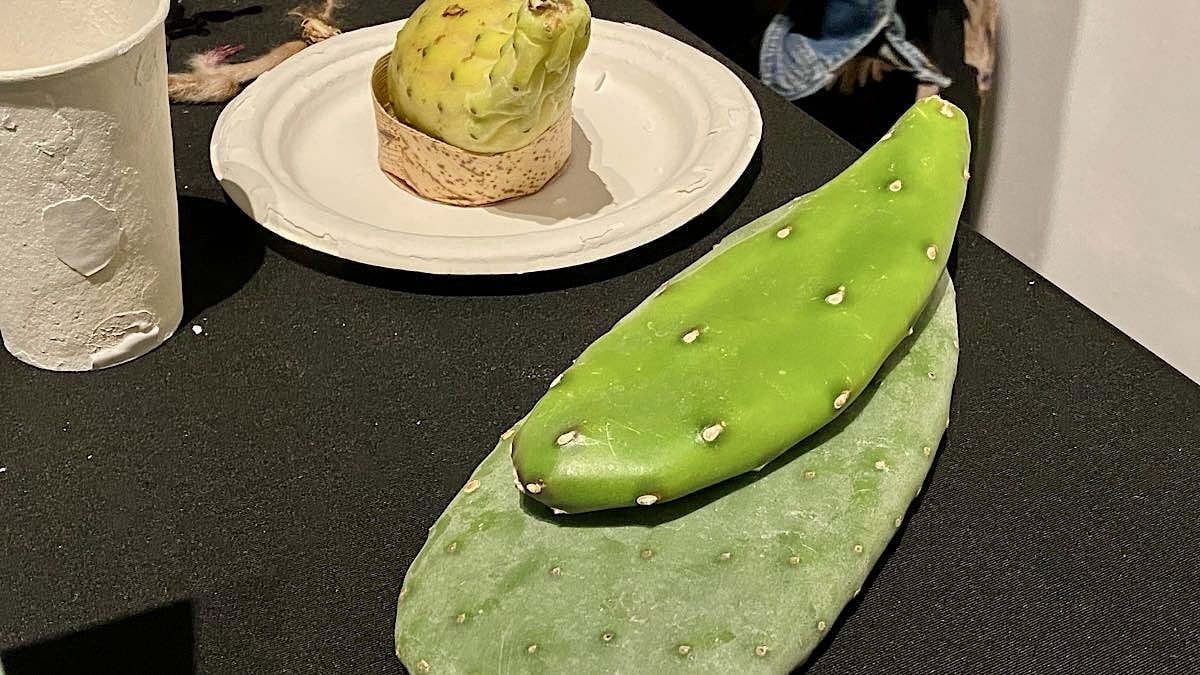 cactus food