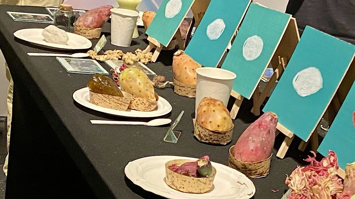 recettes cactus