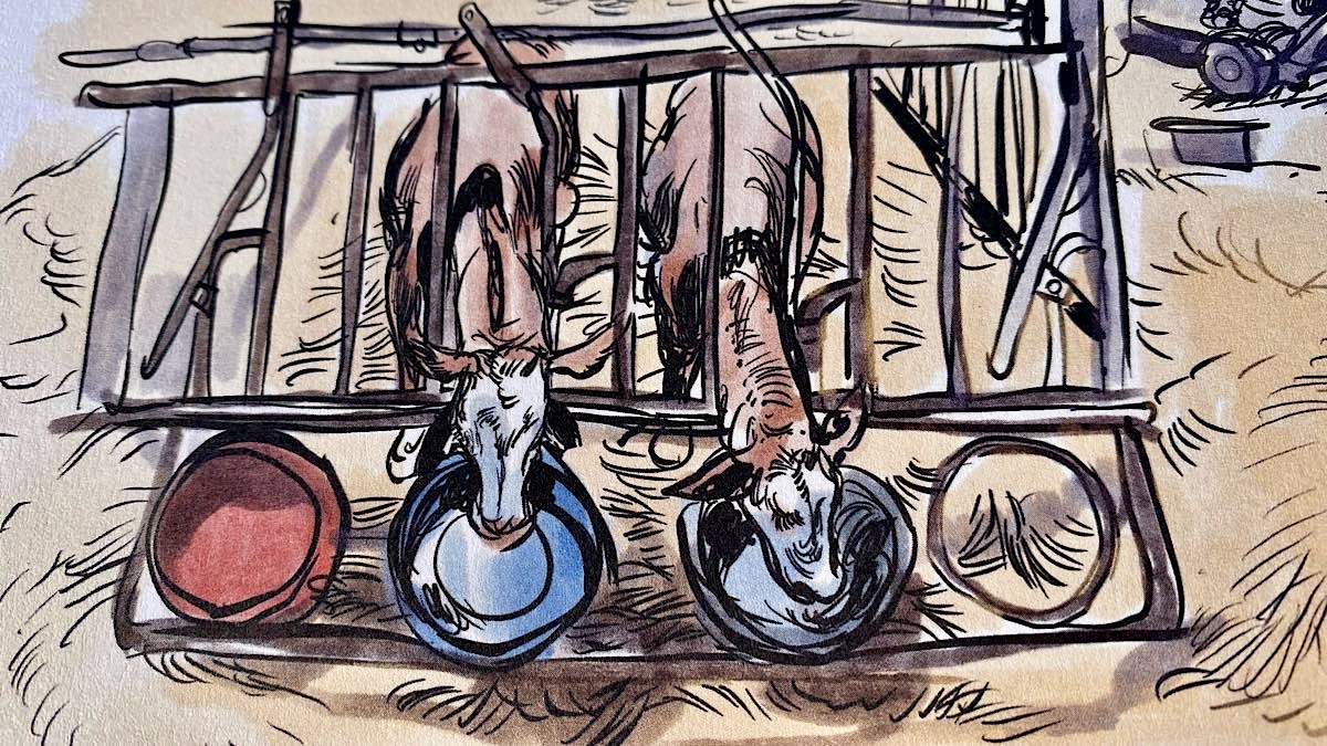 dessin Emmanuel Prost